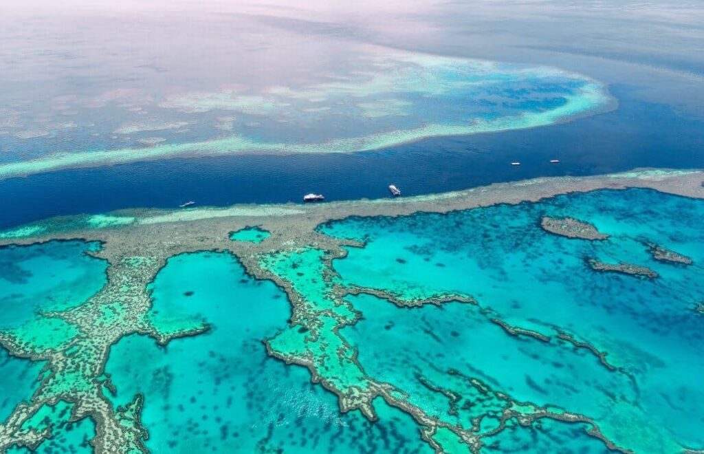 great barrier reef jollytrips pondy