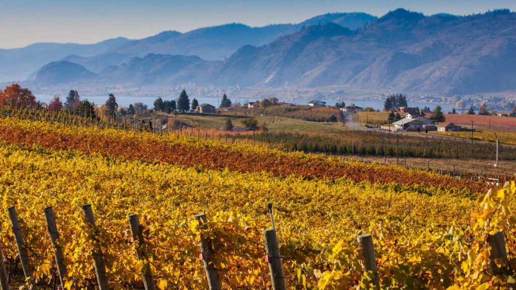 osoyoos wine county